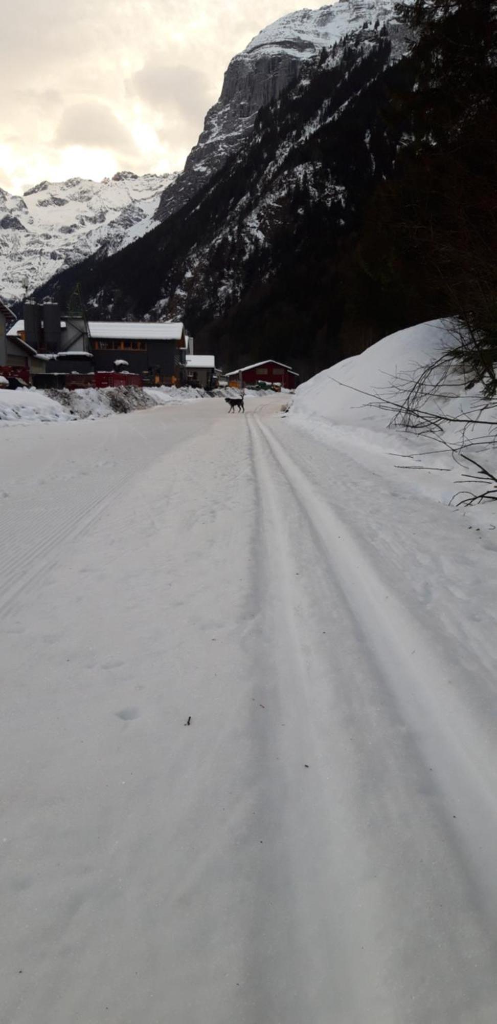 Hostel Engelberg "Mein Trail Hostel" Экстерьер фото